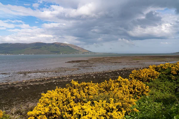 Omeath Ireliand May 2021 Omeath Ireland May 2021 View Greenway — 스톡 사진