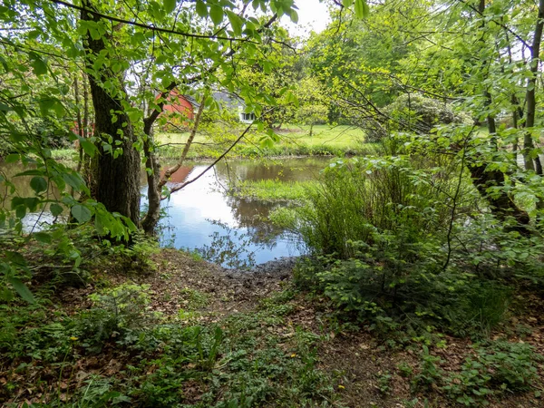 Ein Schöner Reflektierender Fluss Umgeben Von Grünen Bäumen — Stockfoto