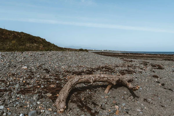 Una Hermosa Toma Una Costa Rocosa Con Madera Bajo Cielo — Foto de Stock