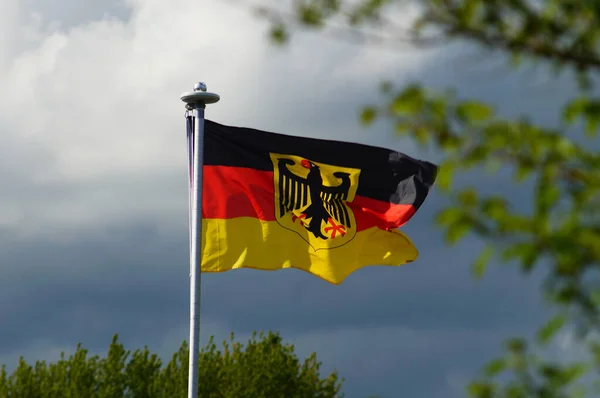 Sovereign Flag Federal Republic Germany Flies Garden Private Use Federal — Fotografia de Stock