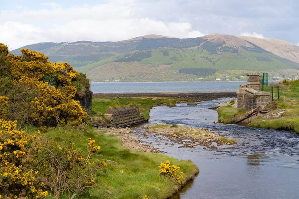 Omeath アイルランド 2021年5月8日 Omeath アイルランド 5月8日 CarlingfordとOmeath Louthの間の緑道散歩の眺め — ストック写真