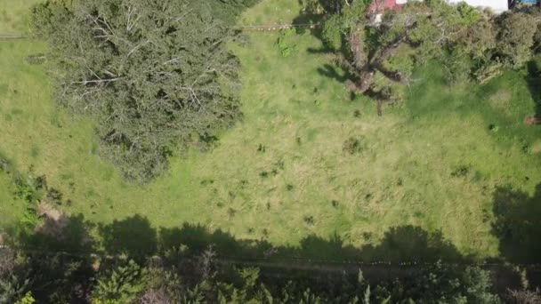 在Briones Coatepec Veracruz的一些土地上飞行 用无人驾驶的Mavic空气2 Dji 4K自然录像 — 图库视频影像