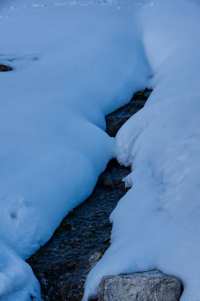 Крупним Планом Густий Лід Землі Зимовий Сезон — стокове фото