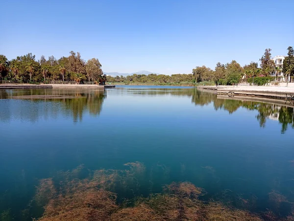 Primer Plano Paisaje Con Lago Tranquilo Árboles Orillas Claro Día — Foto de Stock