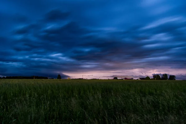 Een Selectieve Focus Shot Van Zware Wolkenkrabber Lucht Een Tarweveld — Stockfoto