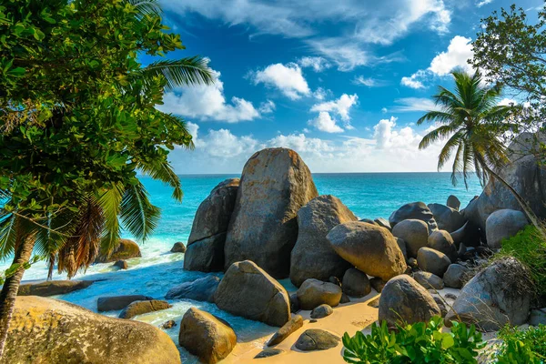 Árvores Tropicais Rochas Uma Praia Seychelles África Oriental — Fotografia de Stock