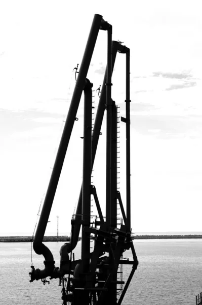 Una Toma Vertical Escala Grises Una Planta Industrial Orilla Del —  Fotos de Stock