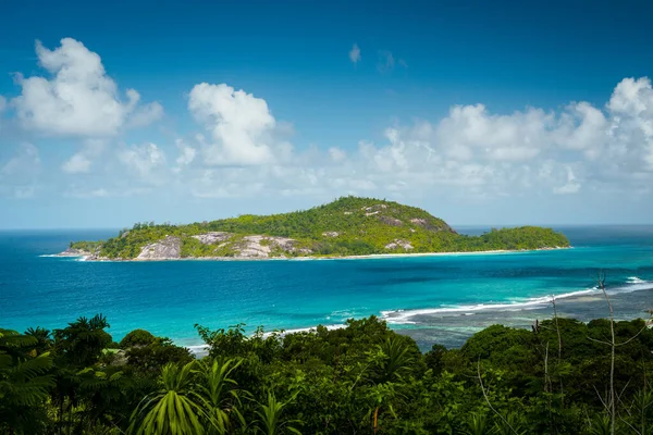 Die Tropischen Bäume Der Küste Einer Insel Auf Den Seychellen — Stockfoto