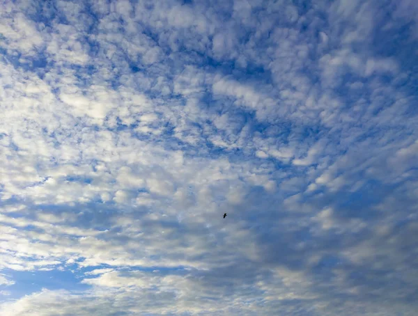 Ein Schöner Strahlend Blauer Himmel Mit Flauschigen Wolken — Stockfoto