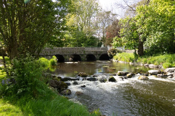 Beautiful Shot Rocky Stream Bridge Forest Inniskeen Kavanagh Country Ireland — Stock Photo, Image
