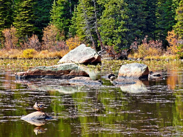 Paysage Lac Entouré Rochers Verdure Sous Lumière Soleil Automne — Photo