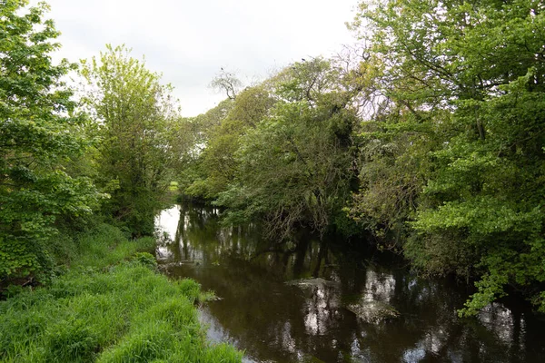 Una Hermosa Toma Arroyo Rocoso Bosque País Inniskeen Kavanagh Irlanda — Foto de Stock