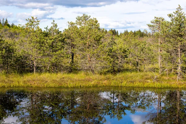 Protected Area National Interest Corresponds Category Iucn Nature Reserve Floristic — Stock Photo, Image