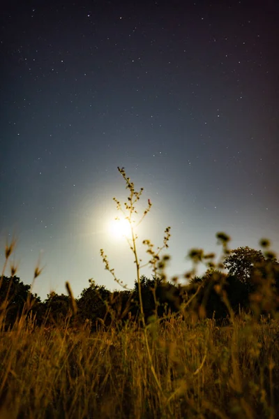 Una Hermosa Toma Campo Noche — Foto de Stock