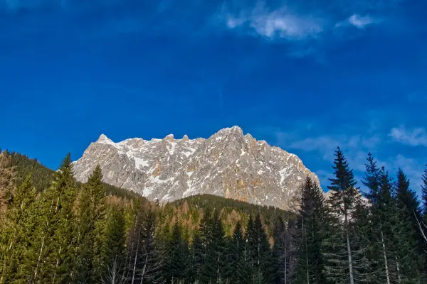 Beautiful Shot Rocky Mountain Peak Mountain Forest Royal Blue Sky — Stock Photo, Image