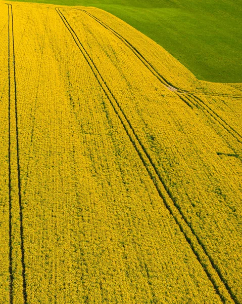 黄色の菜の花畑 農地の空中風景 — ストック写真