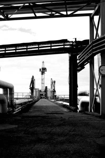 Vertical Grayscale Shot Industrial Plant Industrial Concept — Stock Photo, Image