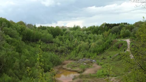 Pittoresk Utsikt Över Dammen Skogen Solig Dag — Stockvideo