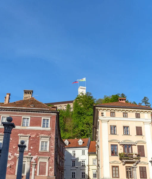 Slovenya Ljubljana Güzel Eski Evleri Olan Tepenin Üzerindeki Şato — Stok fotoğraf