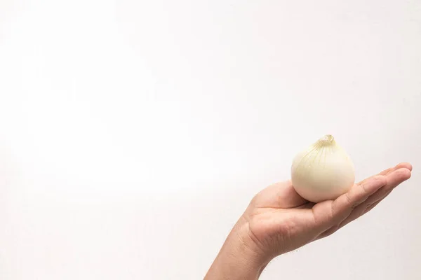 Beyaz Soğanın Yakın Plan Çekimi — Stok fotoğraf