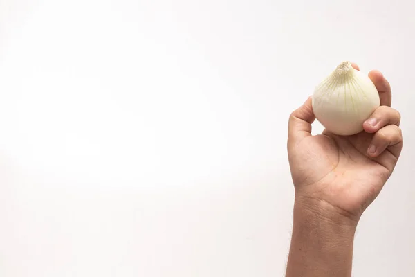 Eine Nahaufnahme Von Weißen Zwiebeln Auf Der Hand — Stockfoto