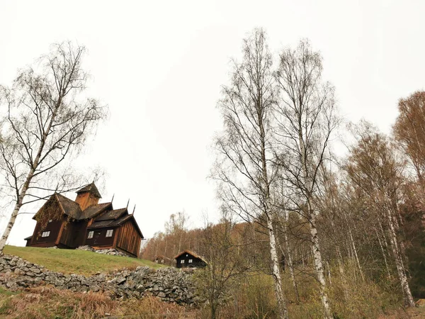 Piękne Ujęcie Kościoła Stavkirke Uvdal Norwegii Otaczającym Lasem — Zdjęcie stockowe