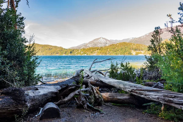 Vacker Bild Sjön Lago Moreno Nära Träd Nahuel Huapi National — Stockfoto