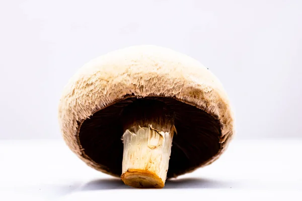 Eine Nahaufnahme Eines Frischen Champignon Isoliert Auf Weißem Hintergrund — Stockfoto