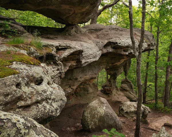 Tiro Perto Formações Pedra Afiadas Uma Floresta — Fotografia de Stock