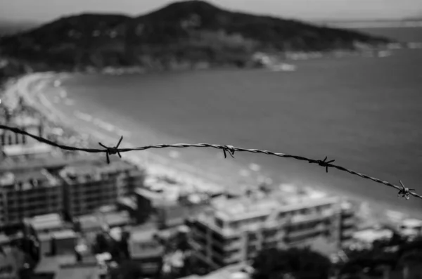 Tiro Tons Cinza Arame Farpado Com Uma Praia Fundo — Fotografia de Stock