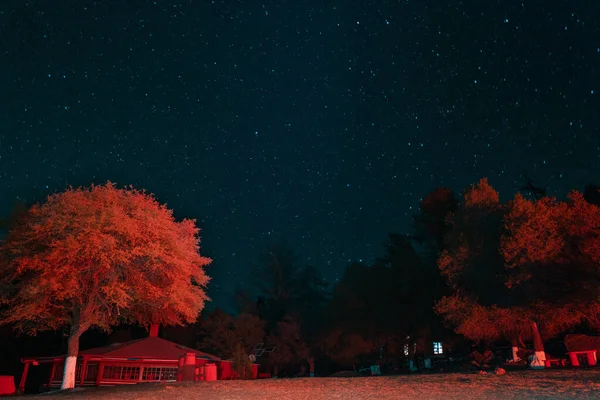 Krásný Záběr Tmavé Silnice Osvětlenými Červenými Stromy Domy — Stock fotografie