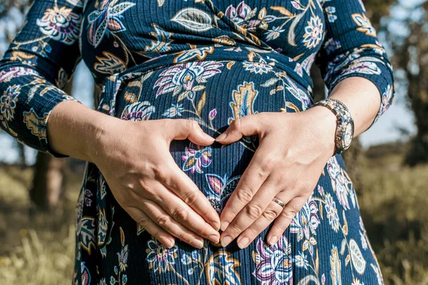 Midsection Fotografie Těhotné Ženy Držící Ruce Tvaru Srdce Přes Její — Stock fotografie