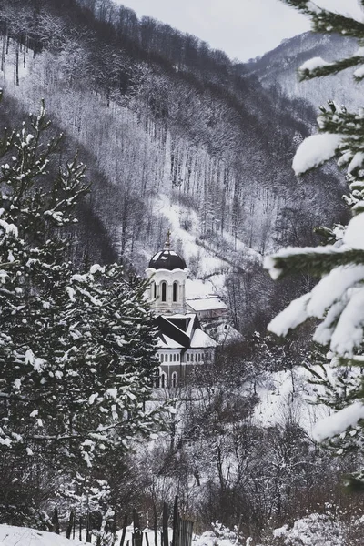 冬天森林里有教堂的山地景观的一个垂直镜头 — 图库照片