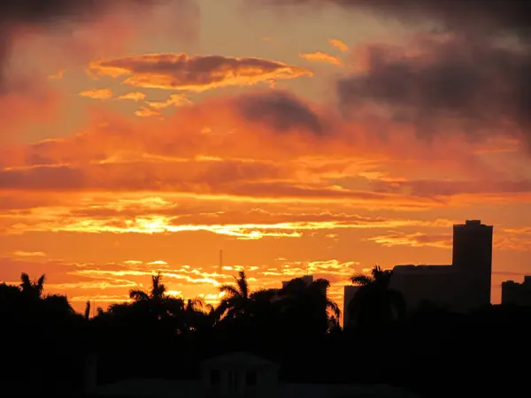 Krásný Výhled Zapadající Oblohu Nad Krajinou Palmami Budovami — Stock fotografie