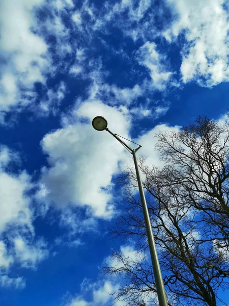 街路灯に対して曇り空のローアングルショット — ストック写真