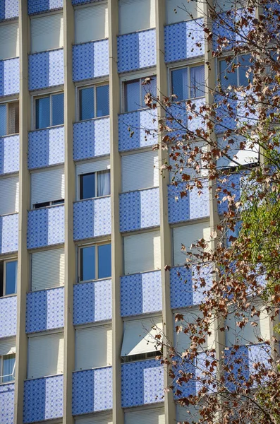 Plano Vertical Edificio Alto Envejecido Árbol Envuelto Hojas Otoño — Foto de Stock