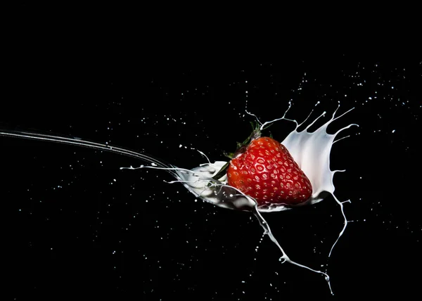 Primo Piano Una Fragola Caduto Nel Latte Uno Sfondo Isolato — Foto Stock