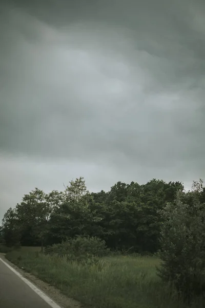 Lodret Skud Gade Nær Træerne Med Mørk Overskyet Himmel - Stock-foto