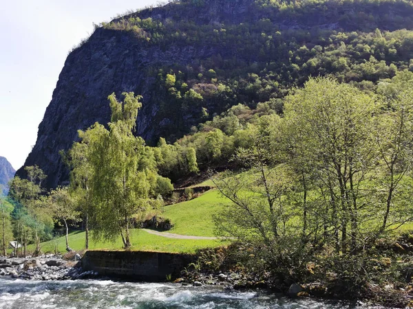 Ein Schöner See Undredal Norwegen Umgeben Von Bergen Und Bäumen — Stockfoto