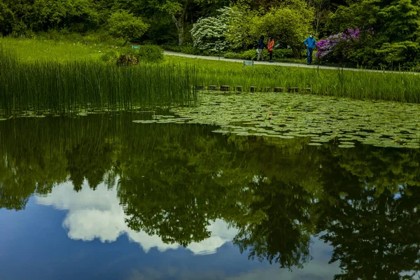 Ein Schöner Blick Auf Einen Teich Mit Der Reflexion Der — Stockfoto