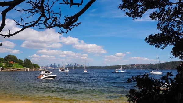 Watsons Bay Australia Nisan 2021 Kamp Cove Sahili Watsons Körfezi — Stok fotoğraf