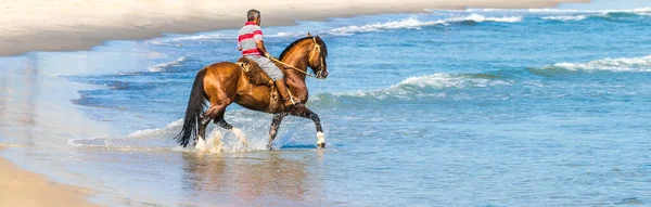 Человек Верхом Лошади Пляже Возле Брызг Морских Волн — стоковое фото