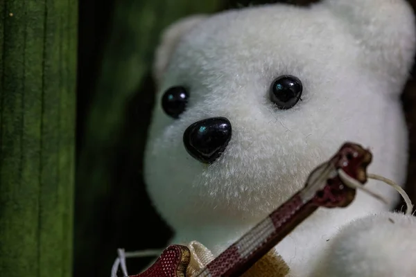 Zbliżenie Niedźwiedzia Pluszowa Zabawka Miniaturową Gitarą Wiszącą Szyi — Zdjęcie stockowe