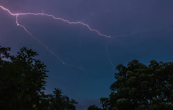 Una Hermosa Vista Paisaje Con Árboles Relámpago Cielo Nocturno —  Fotos de Stock