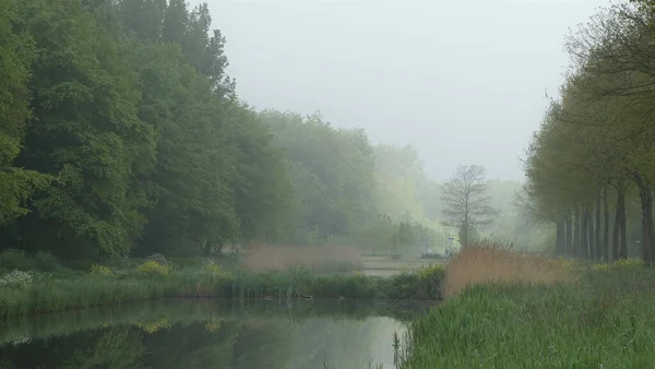 Beautiful Misty Lake Surrounded Trees Grasses — Stock Photo, Image