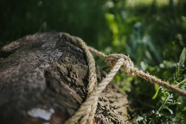 Een Close Shot Van Touwstukken Een Weide — Stockfoto