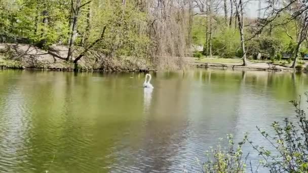 Bela Vista Rio Parque — Vídeo de Stock