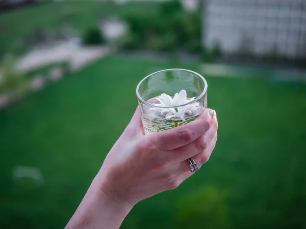 一杯水中的一朵白色雏菊的特写镜头 — 图库照片