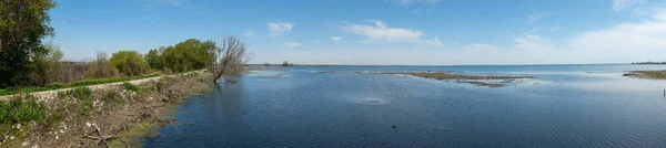 Colpo Panoramico Grande Lago Blu Vicino Una Foresta — Foto Stock