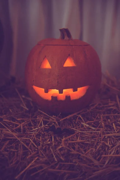 Colpo Verticale Ragno Giocattolo Nero Una Zucca Intagliata Decorazioni Halloween — Foto Stock